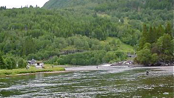 Skipsreder rømte stinkende lakselv!