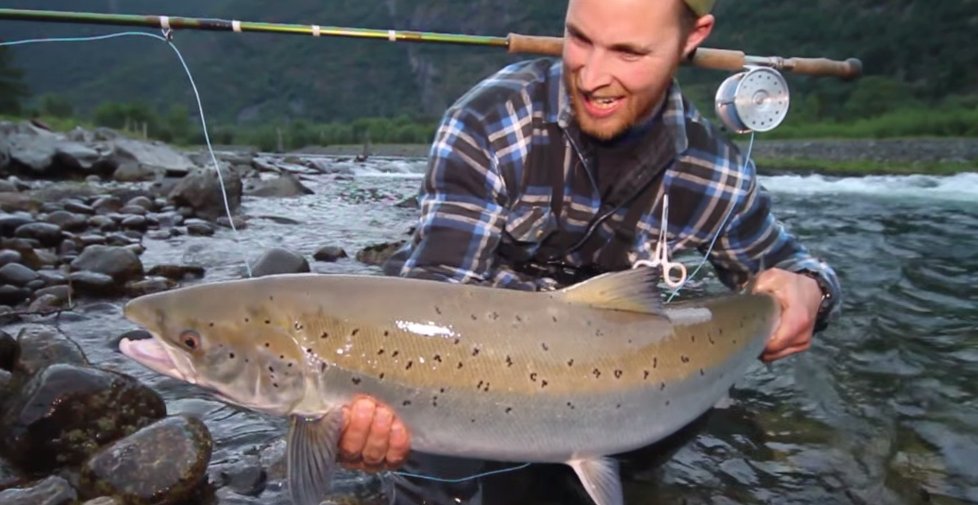 Med fluestang og videokamera på jakt etter storlaksen