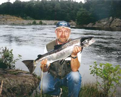 Fremskrittspartiet redder laksen i Nidelva!