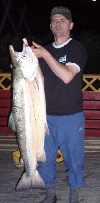 De fleste lakselver unngår strengere fiskeregler i 2009