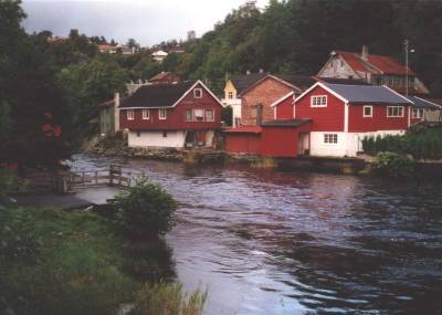 Sportsfiskere holder Oselva rein for rømlinger!
