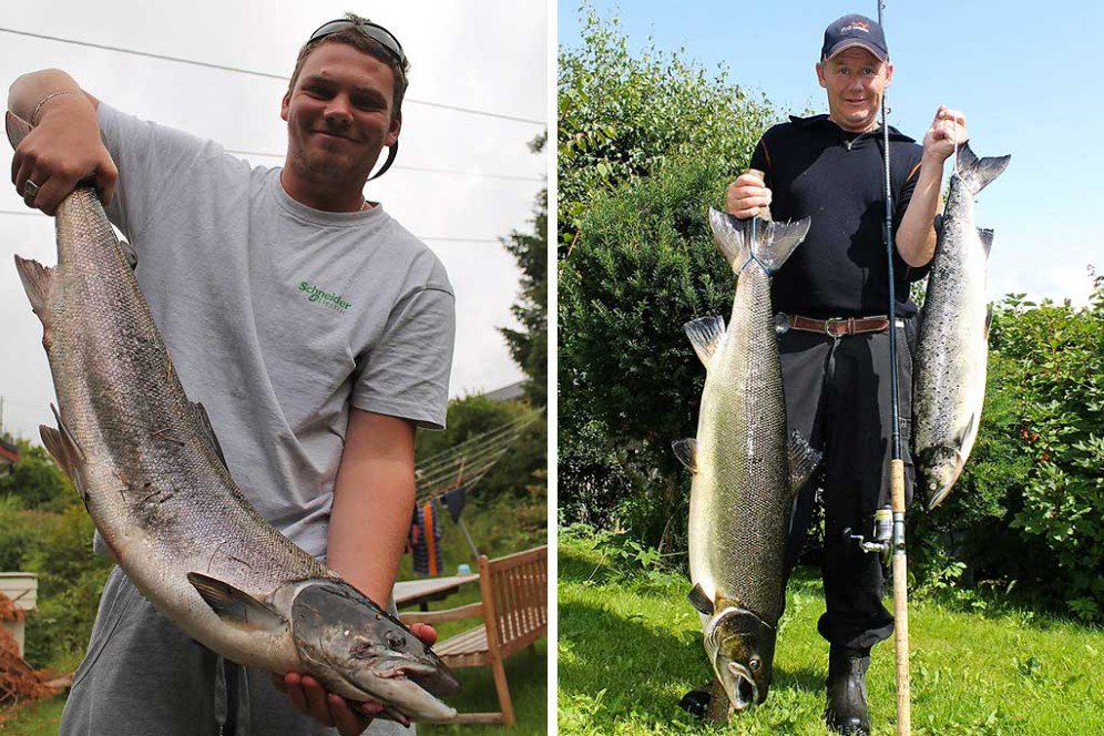 Laksestarten i Oselvo fremskytes til 15.juni