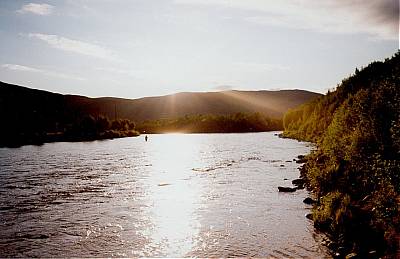 Ny VM-sjøørret-rekord eller bare en laksehybrid?