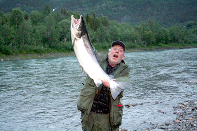 Beiarelva er nå ideell for fluefiskeren!