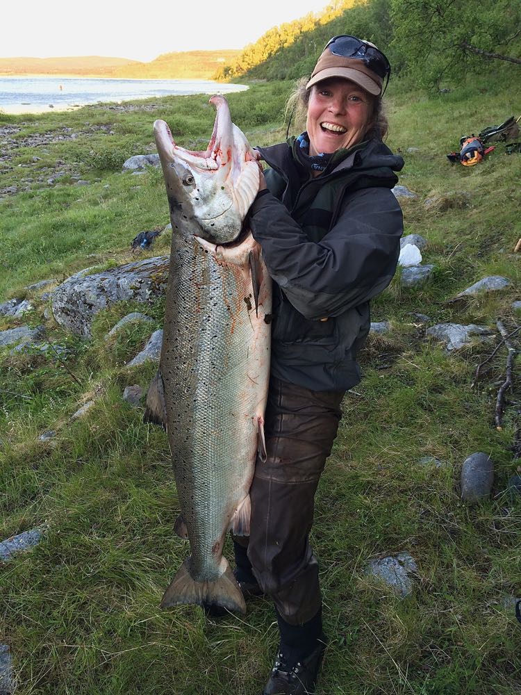 Namsen, Tana, Gaula, Bjerkreimselva og Orkla på laksetoppen
