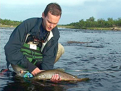 Neste sommer tar vi ørreten på tørrflua!