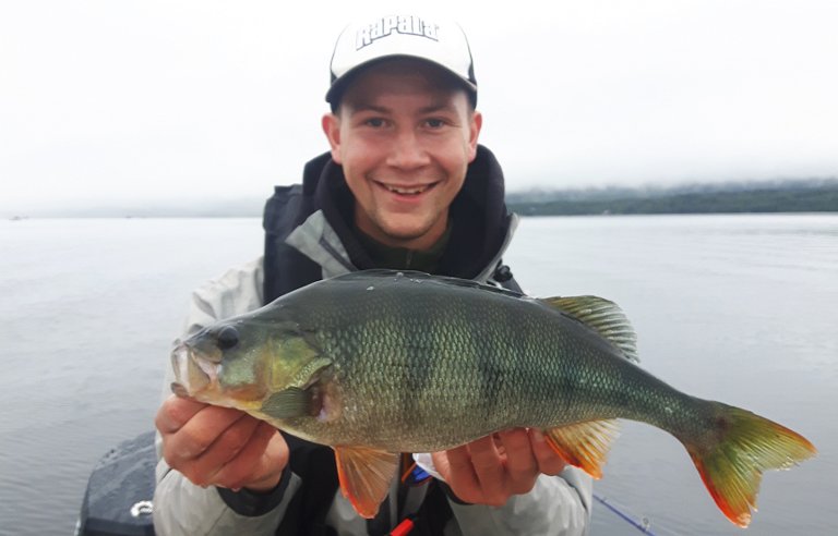 Explore Finnskogen rappet NM i abborfiske!