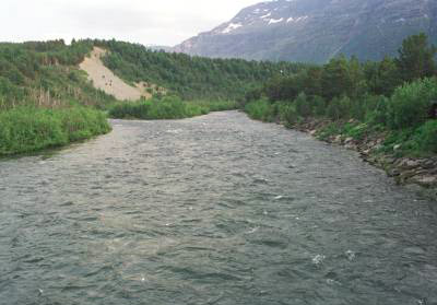 Storlaks-jegere bør reise til Skibotnelva!