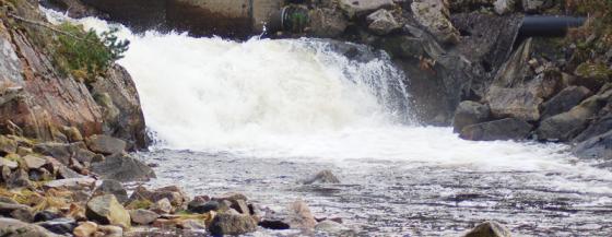 Nye landbaserte anlegg  kan slå ut norsk laksenæring