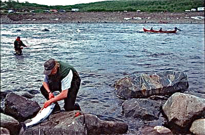 Fisketur? Les Fiskeguiden!