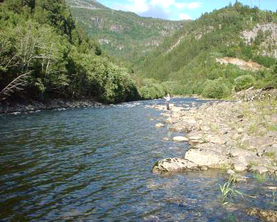 Nå tar vi sjøørreten!