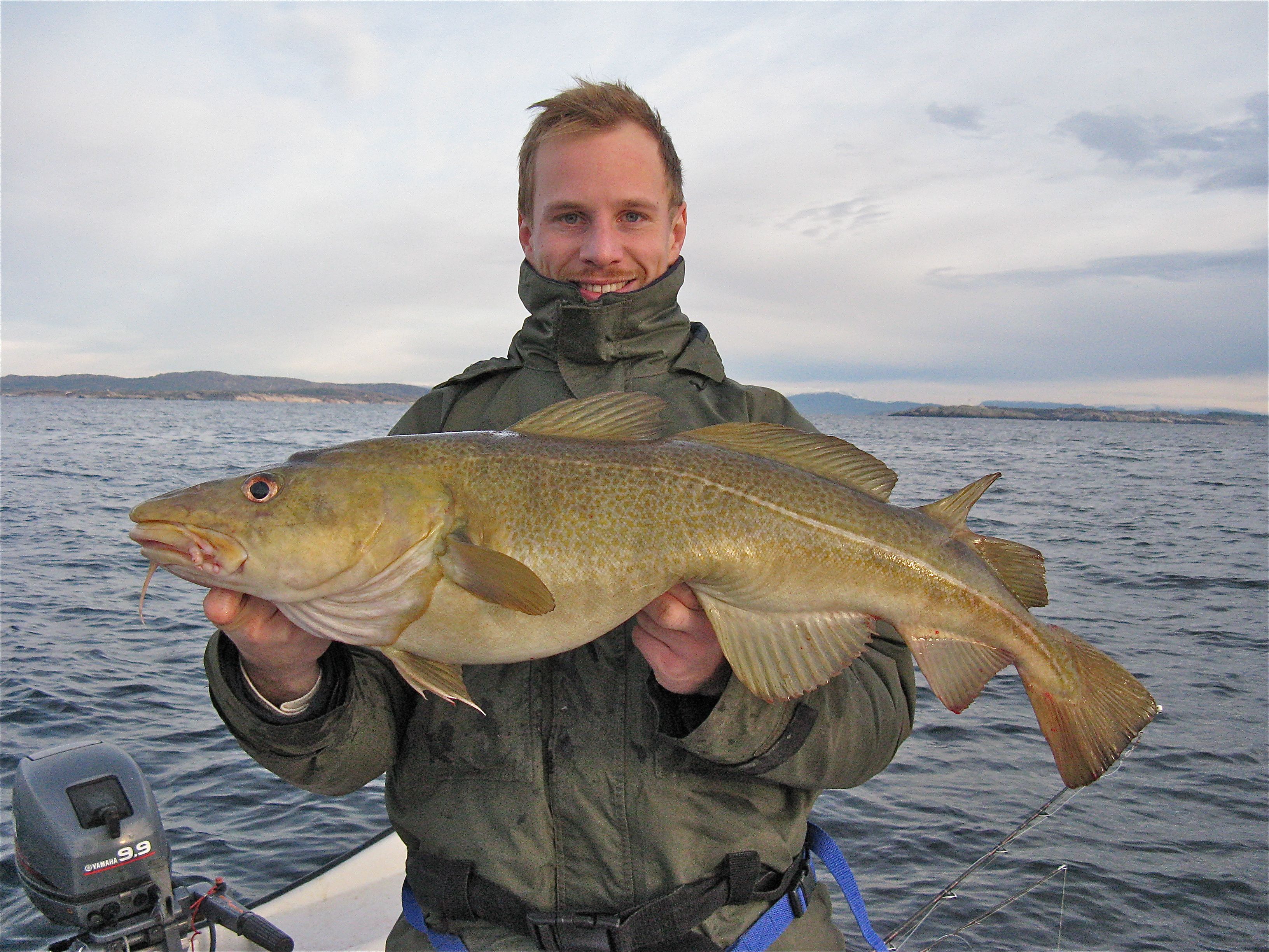 Sjøfisketurister slipper tilbake halvparten av fangsten