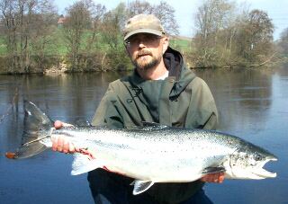 Første svenske vestkystlaks landet i Lagan!