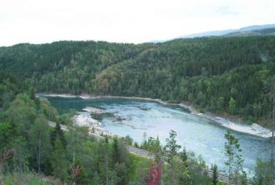 Nye 35,5 mill. kroner til gyrobekjempelsen av Vefsna