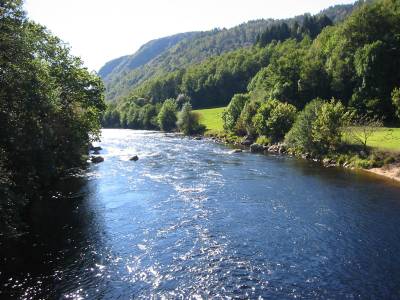 Mer kalking nødvendig i Lygnavassdraget!