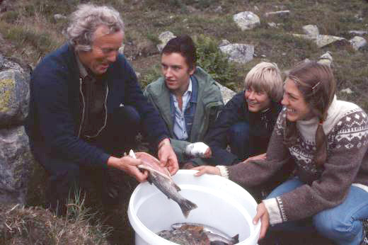 Kjøp ikke rakørret før du har smakt på den!