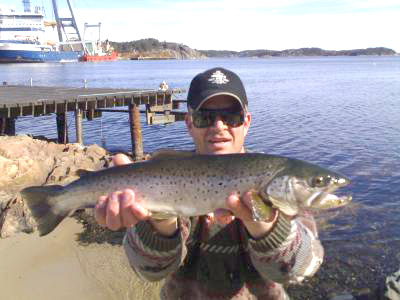 Hvem tar den lengste sjøørreten i helgen?