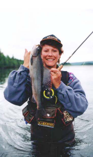 - Tolga-utbygging kan oppfattes som naturkriminalitet 