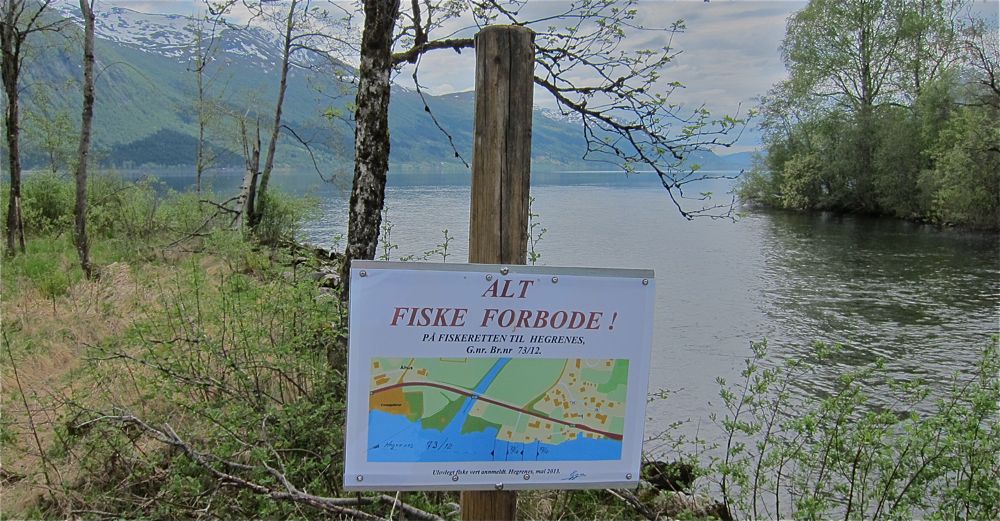 Stenger fisket i innløpselv til Jølstravatnet