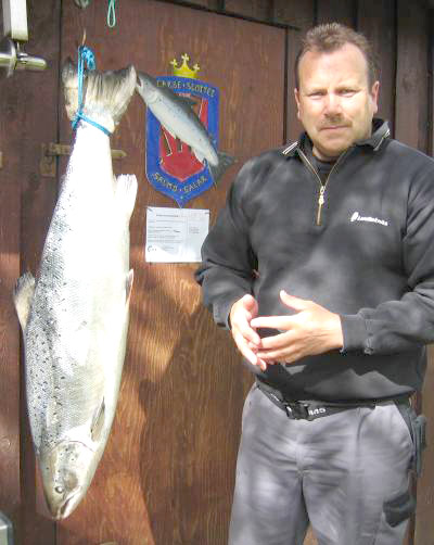 To 13 kilos lakser landet i Årdalselva!