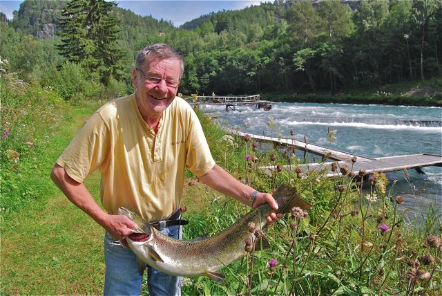 Den verdensberømte kjempelaksen i Årøyelva i fremgang!