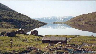 Garantert fjellørret på halvkiloen!