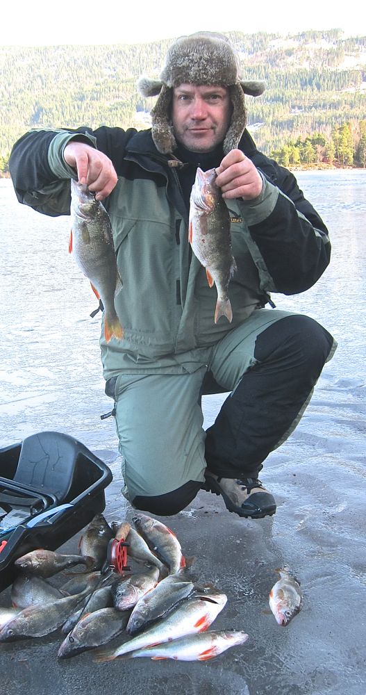 Jakt på storabboren under vår-råtten is i Steinsfjorden