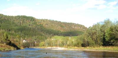 Surna, beste lakselva i Møre og Romsdal 2004.