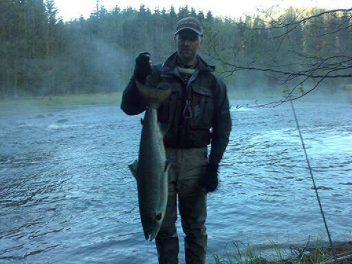 Enningdalselva med 8 storlaks på morgenkvisten!
