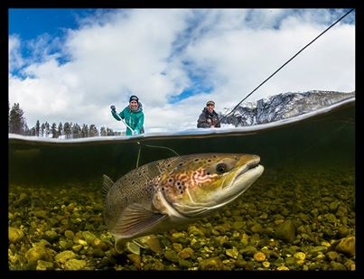 Alta-kortene for nordmenn flest trekkes i morgen!