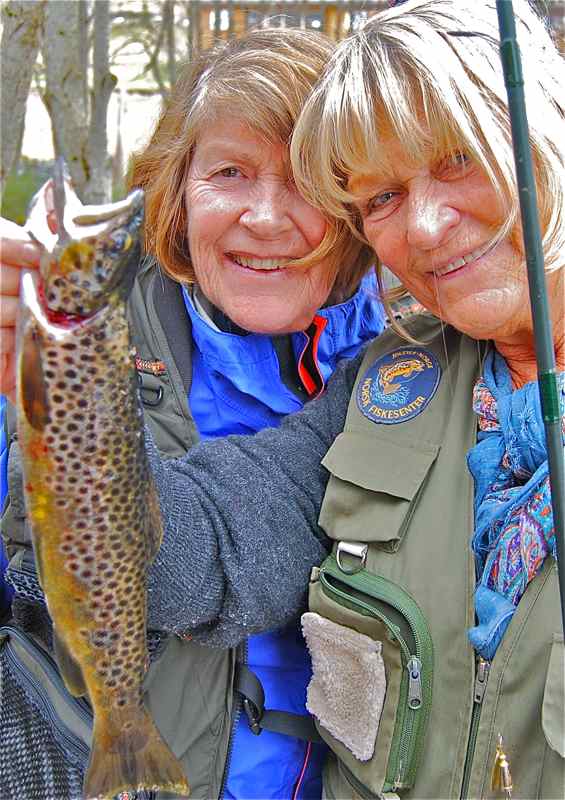 Vårens første jølster-ørret!