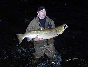 Rekordlaksen viste seg ikke på en time!