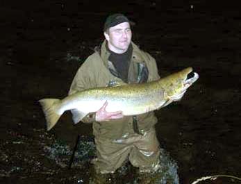 Storelva i Arna får laksetrapp fra neste år !