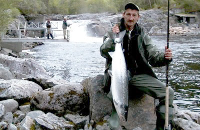 De første laksene er landet!