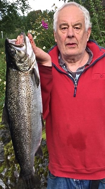 Jølster-ørreten i godt hold foran høstens gytevandring