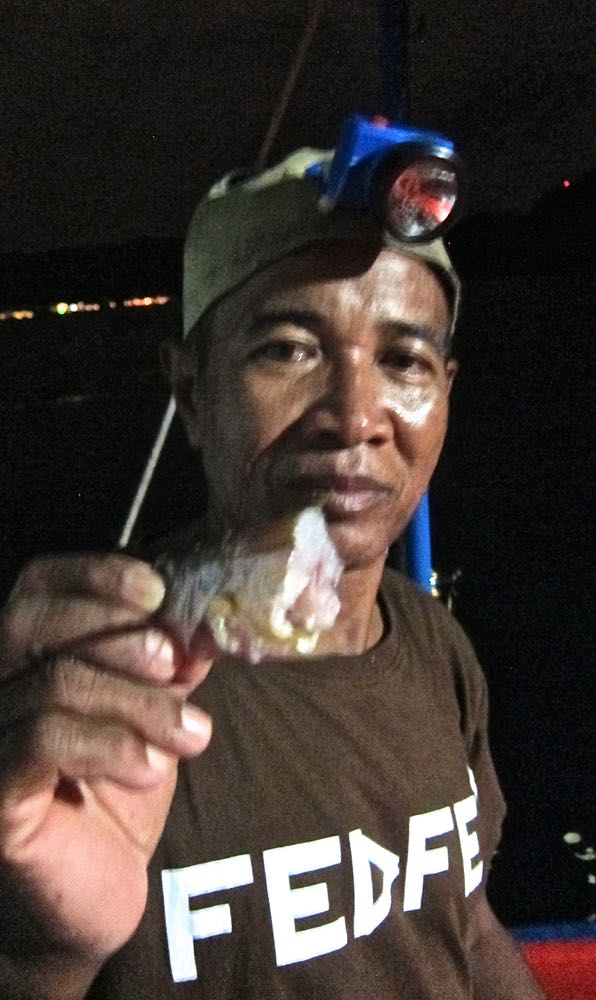 Hold fingrene unna baracuda-kjeften!