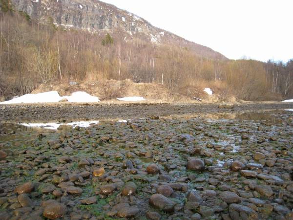 Miljøkrav til 340 kraftkonsesjoner skal revurderes