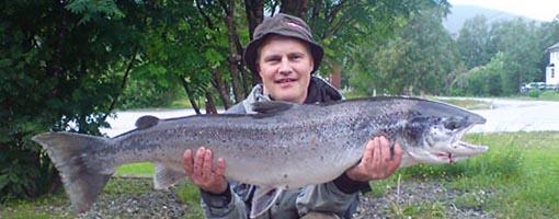 Eventyrlig laksefiske i  Beiarelva