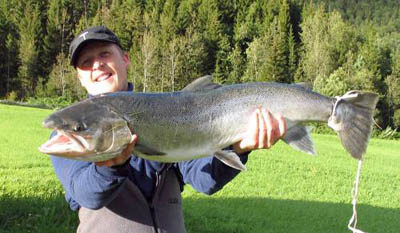 Beiarelva - Norges beste fiskeplass for sjøørret!