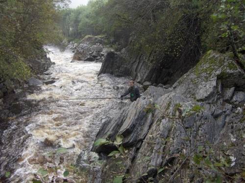 Like mange lakserømlinger  som det er villaks i norske elver