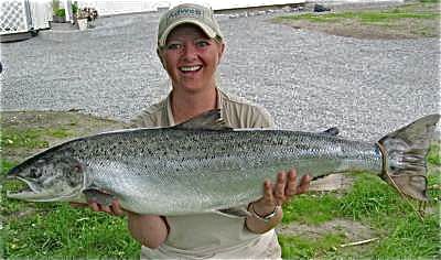 Regjeringen varsler kraftigere vern av villaksen!