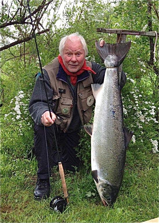 Kjempelaksen falt for den nye favorittflua i Surna