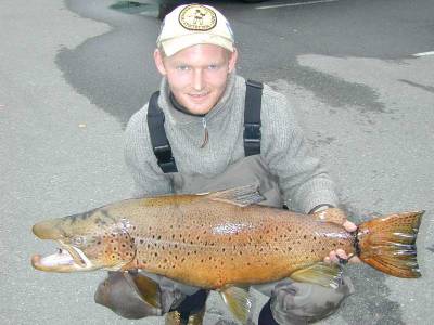 Strengere fiskeregler i Randselva og Tyrifjorden