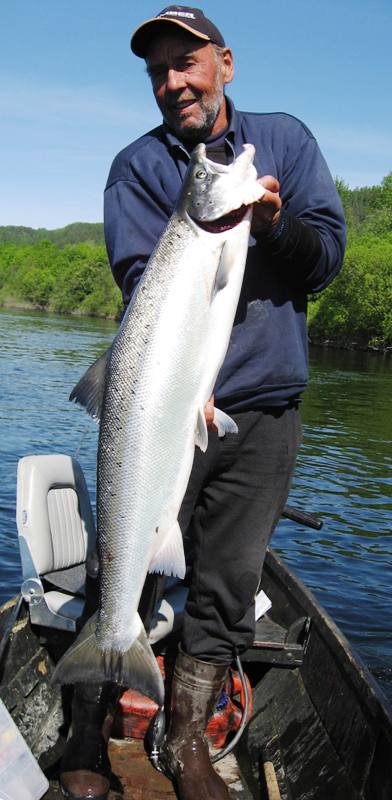Utvidet laksefiske i Drammenselva!