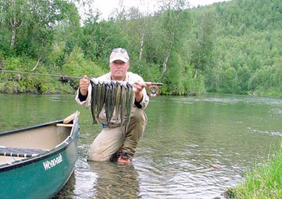 Fluefiskerens drøm!