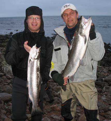 Min beste sjøørret-strand på Bornholm!