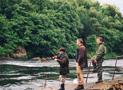 Reduksjon av fiskekort i Bjerkreimselva i år!