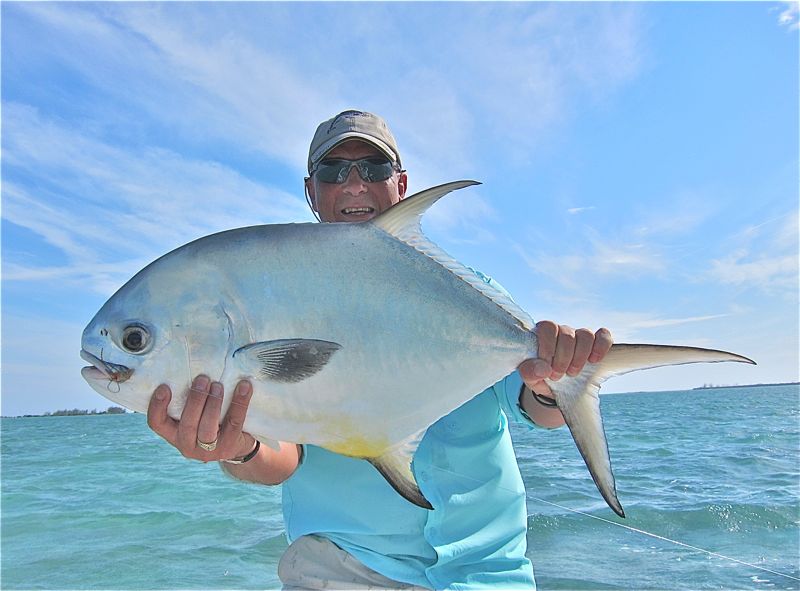 Fluefiske etter råsterke tropiske torpedoer