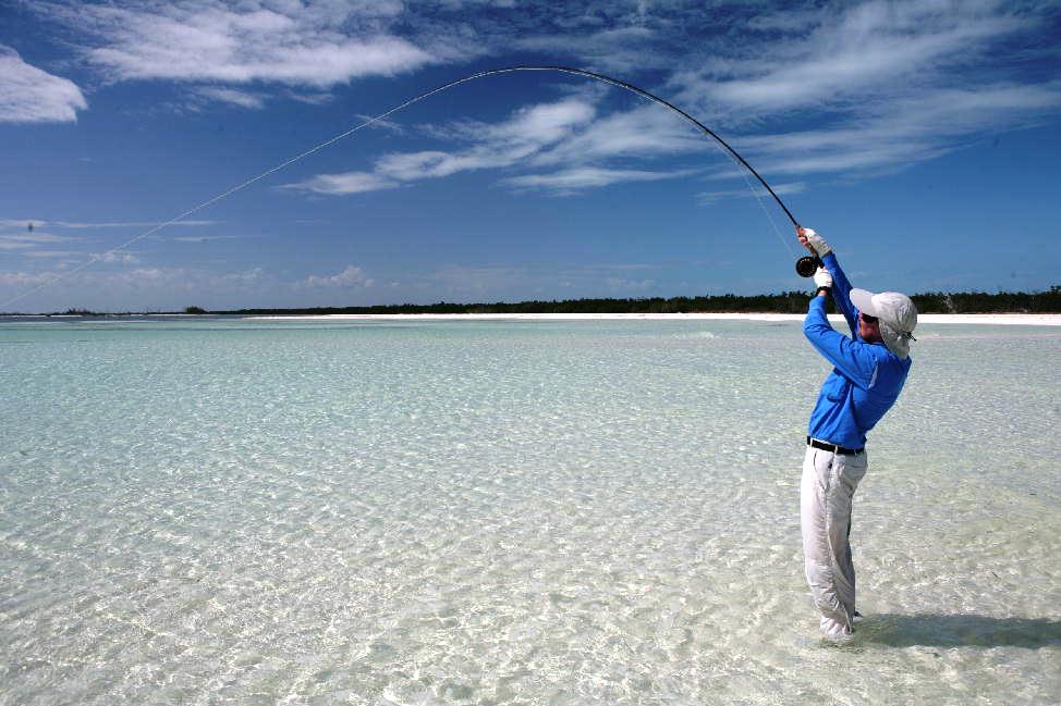 Fast fisk - og duellen starter!