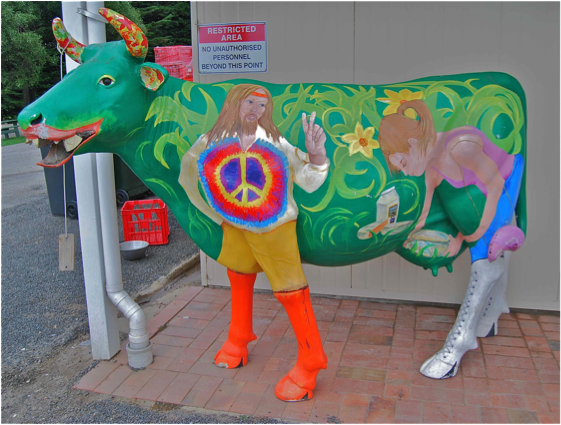 Ikke alle kuer er som norske Dagros. 